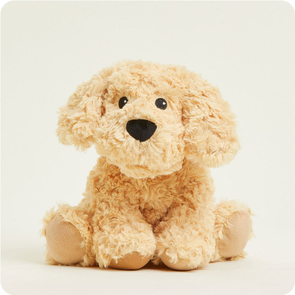 Golden Dog - Thoughtful Expressive Warmies Highlight