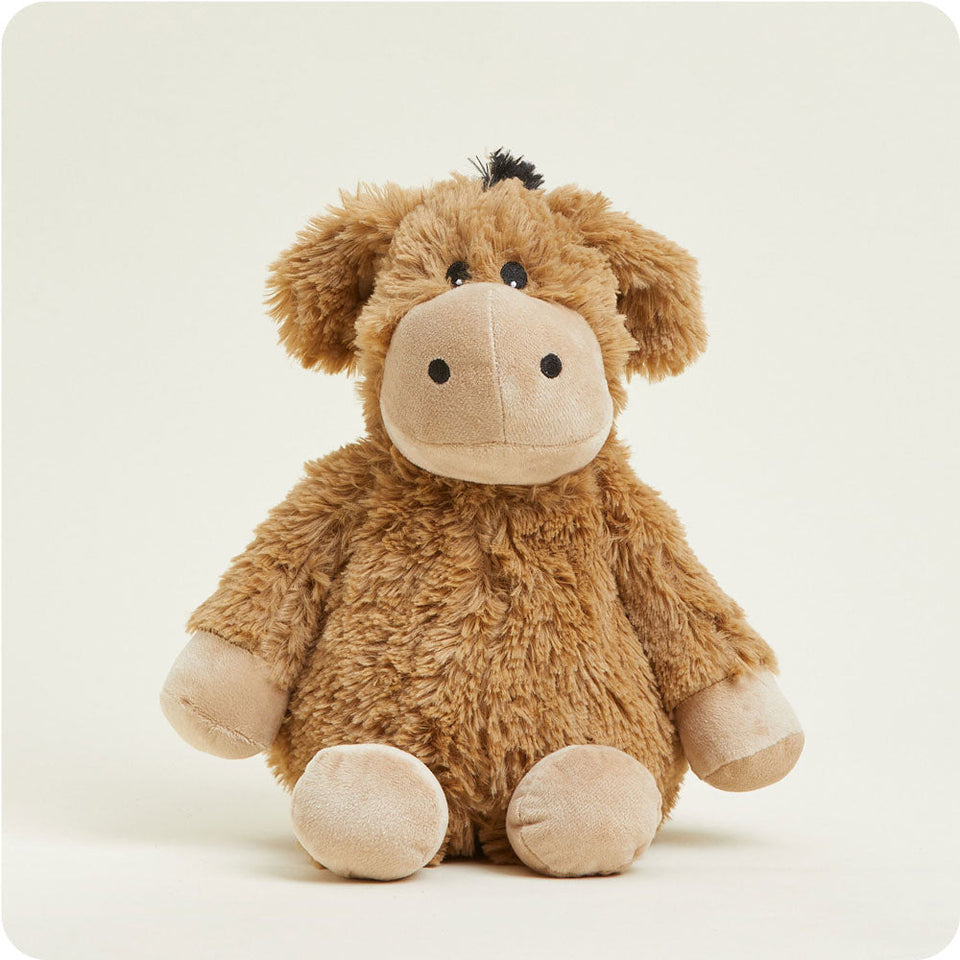 Donkey - Timeless Discovery Warmies Highlight
