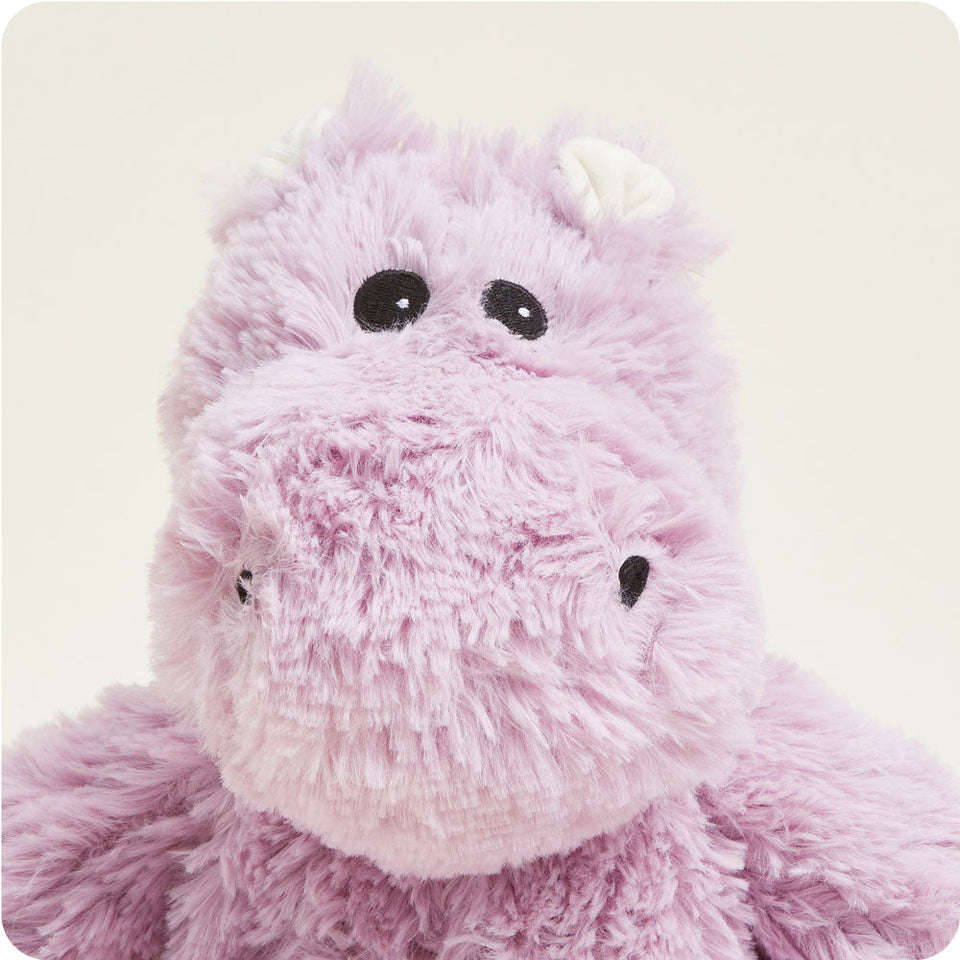 Hippo - Thoughtful Friendly Warmies Focus