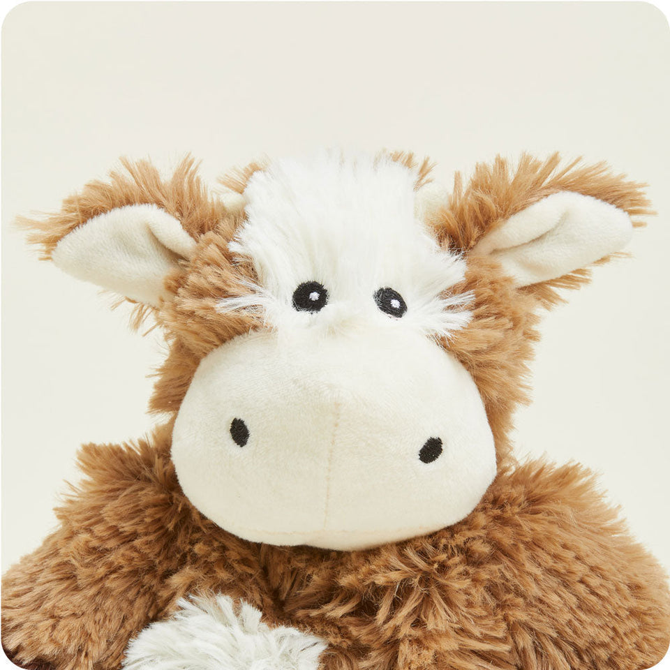 Cow Junior - Warm Kitchen Warmies Focus