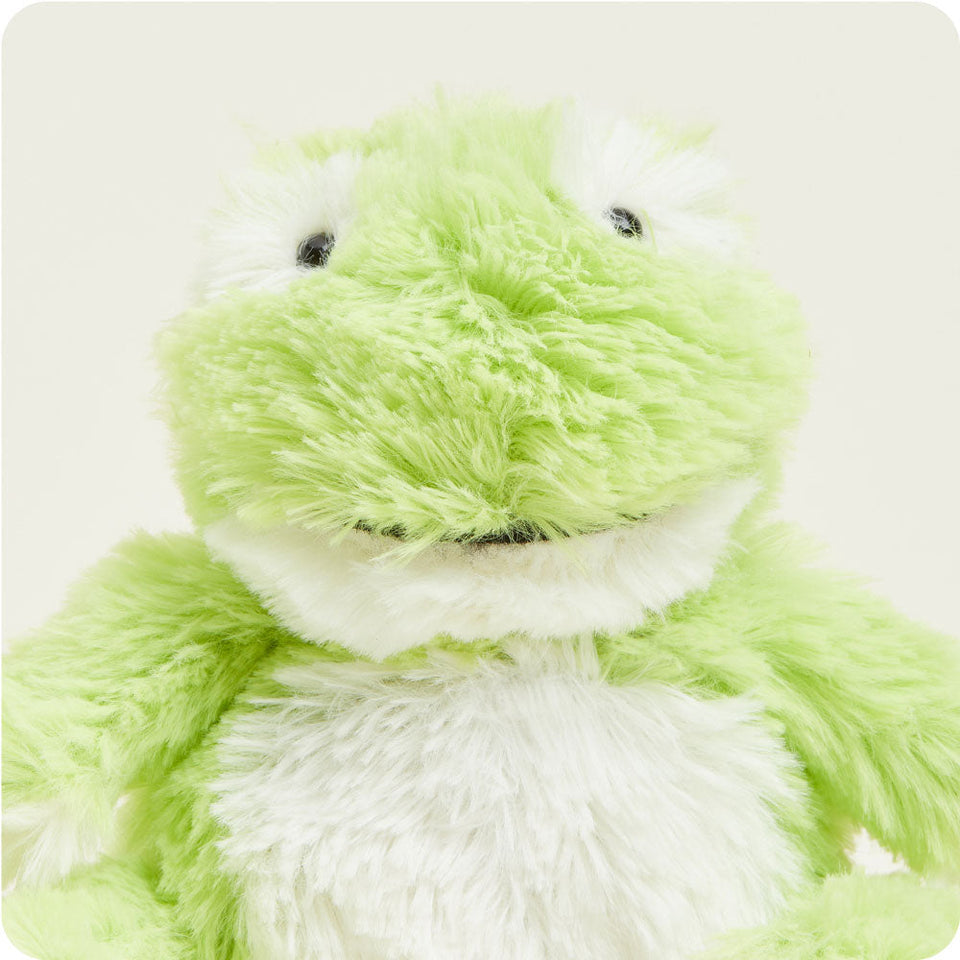 Frog Junior - Favorite Thoughtful Warmies Feature