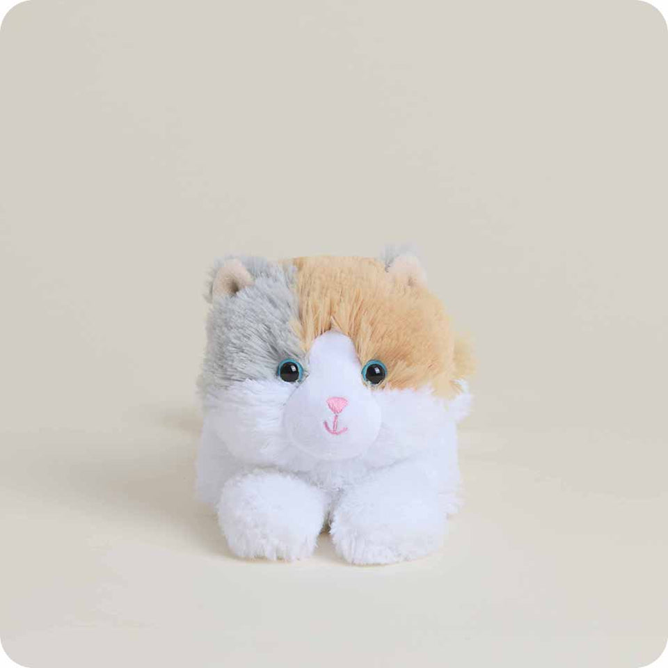 Calico Cat Junior - Sunny Seasonal Warmies Choice