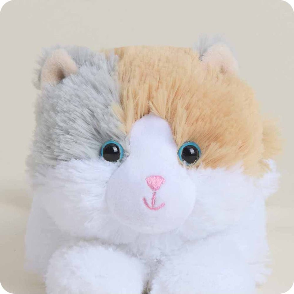 Calico Cat Junior - Sunny Seasonal Warmies Choice