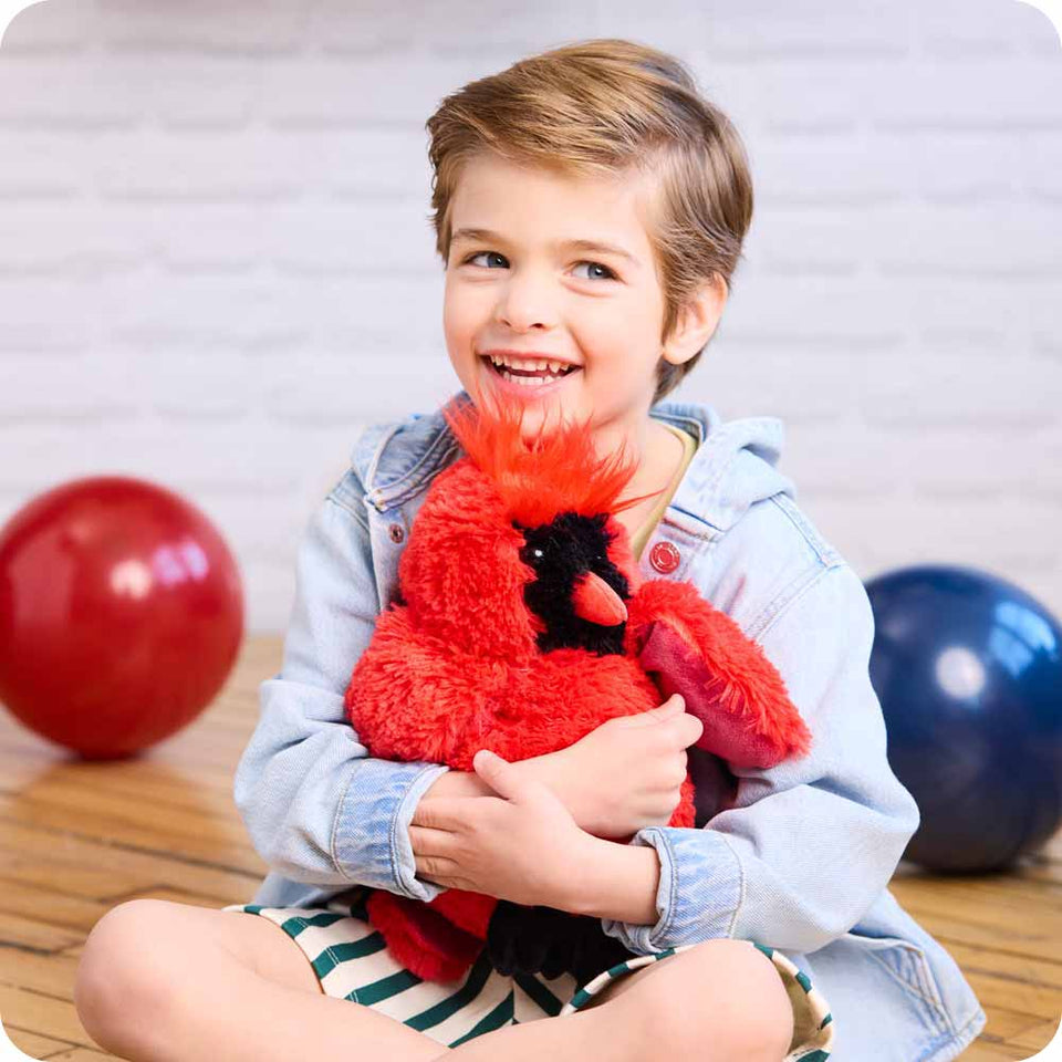 Cardinal - Creative Giftable Warmies Assortment