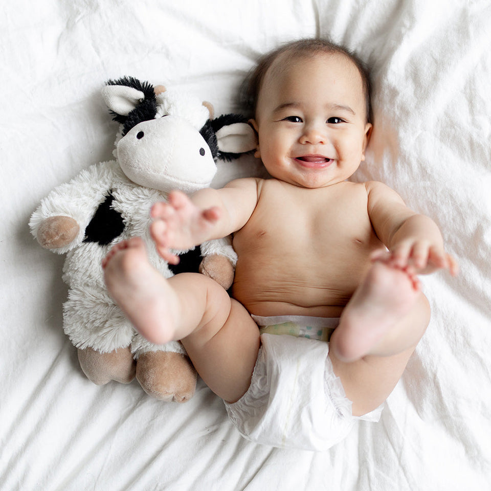 Black and White Cow - Soft Studio Warmies Highlight