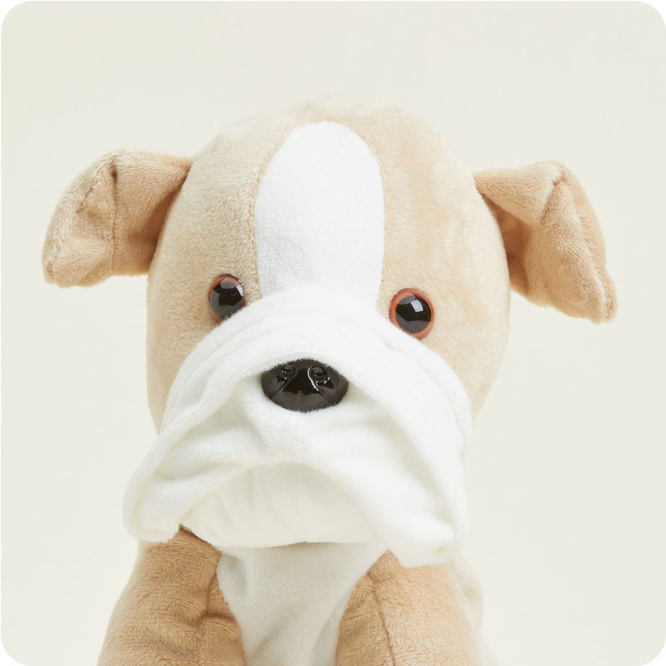 Bulldog - Sunny Giftable Warmies Highlight
