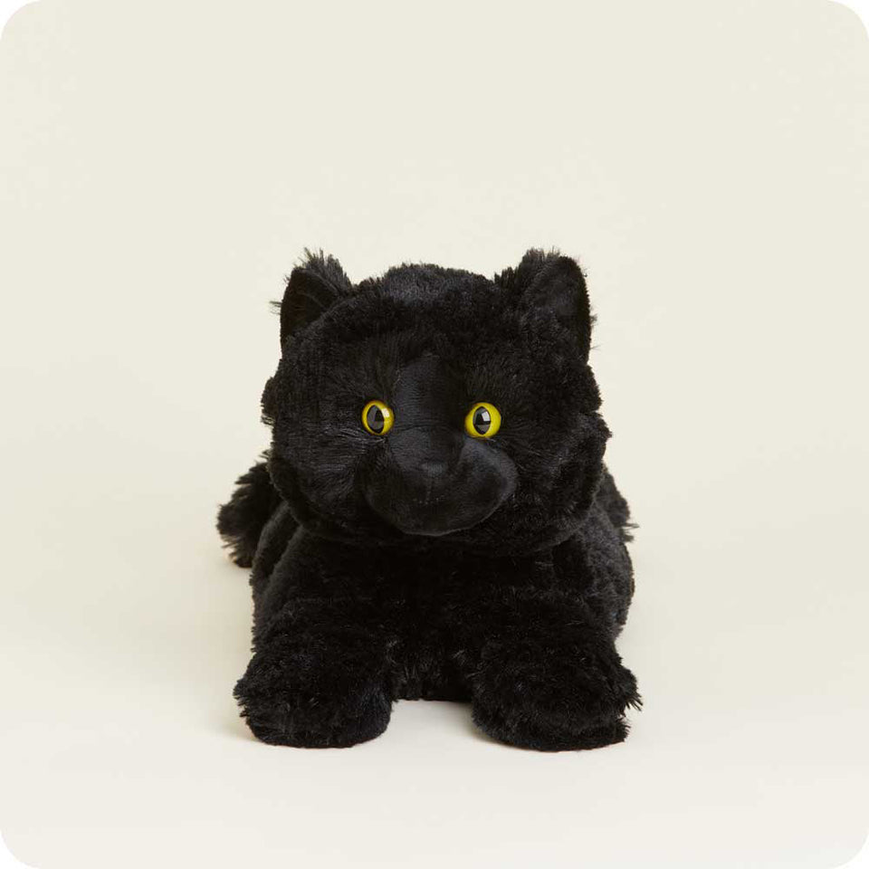 Black Cat - Elevated Casual Warmies Curation
