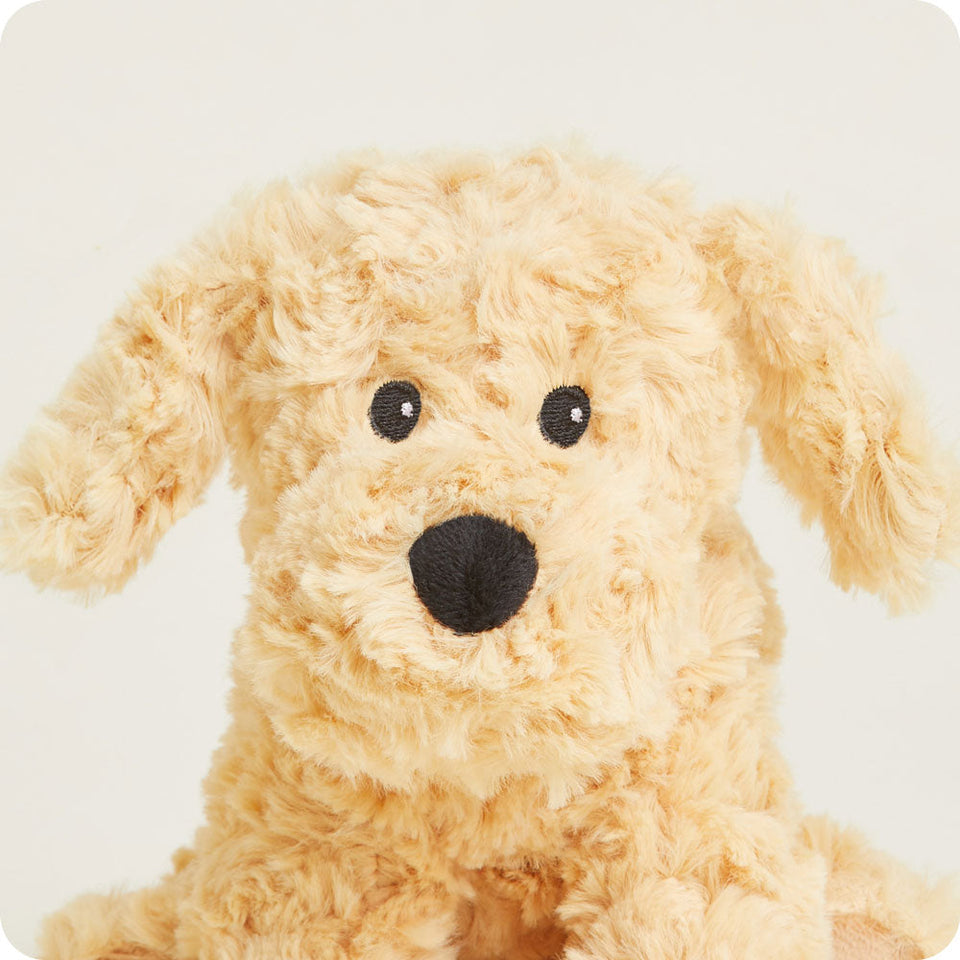 Golden Dog Junior - Distinct Fresh Warmies Discovery